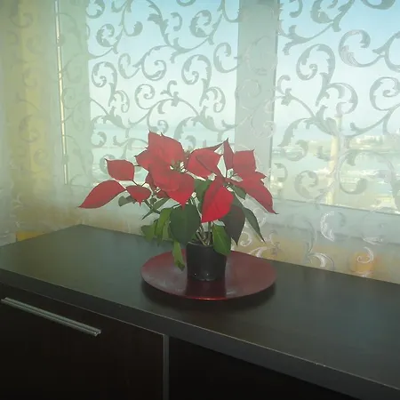 דירה Apartment Kostov *